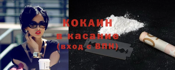 сатива Богородицк