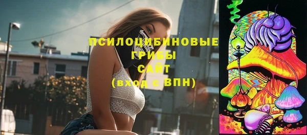 сатива Богородицк